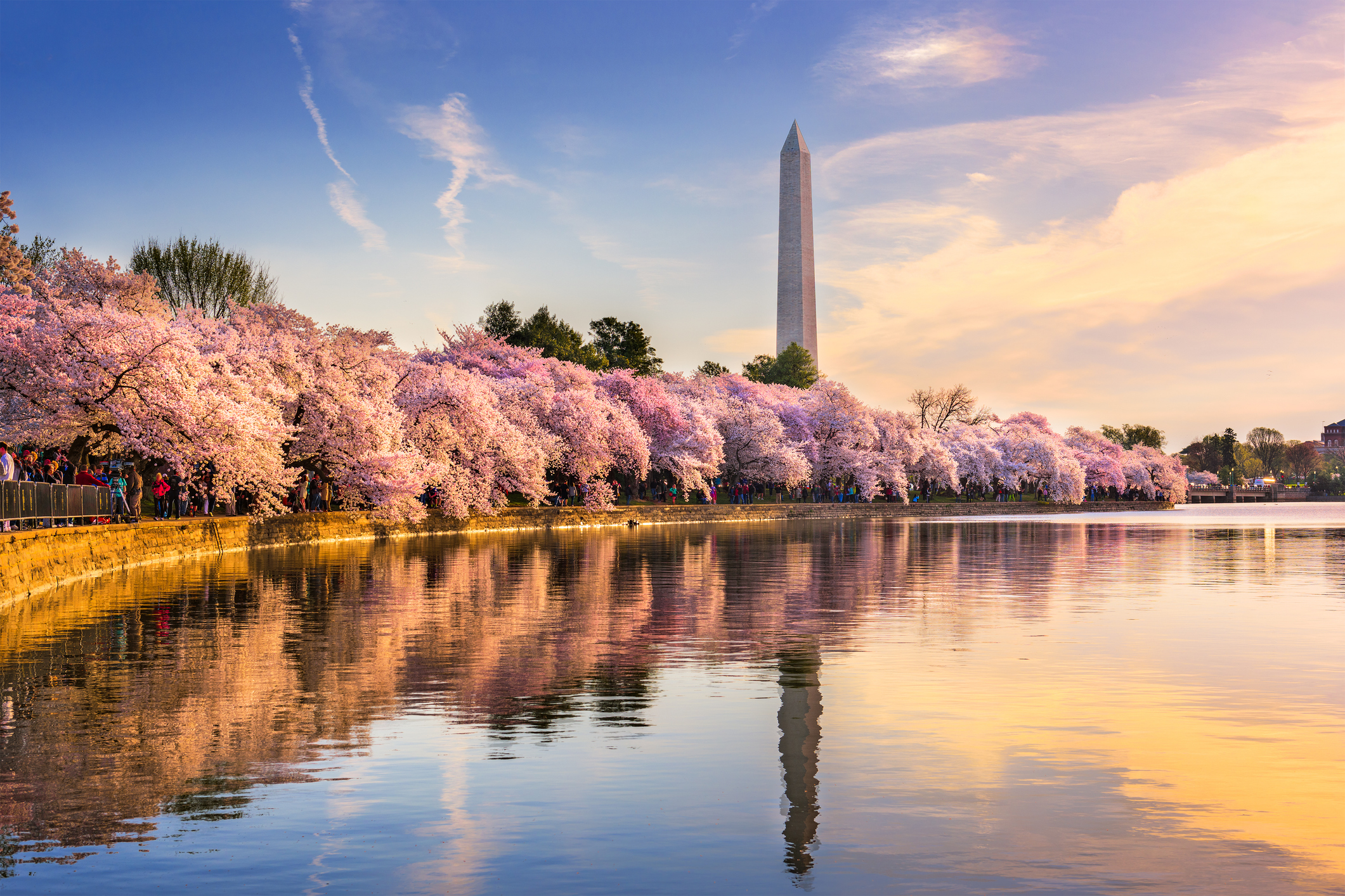 Washington DC National Monument