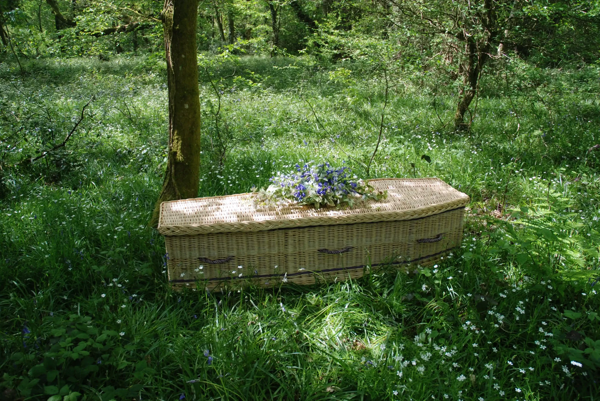 Willow-Coffin-in-woodland-copy-2048x1371 Natural Green Burial with Wicker Casket