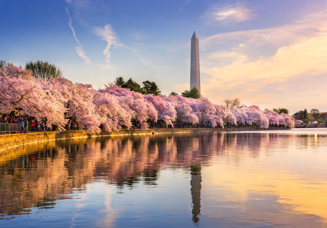 Washington DC National Monument